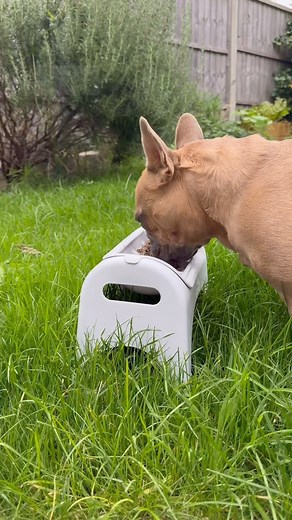 6.6K views · 97 reactions | Easyeat have just launched their slow...