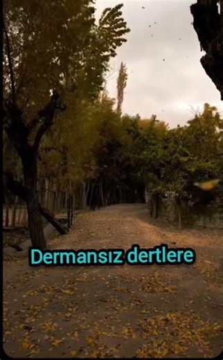 Hazan Vurdu | Hüzünlü Türkü | Anatolian Folk #anatolianfolk #duygusaltürkü