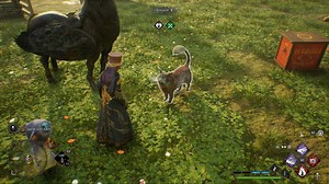 Hogwarts Legacy: dove trovare i Kneazle
