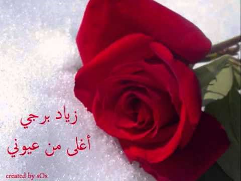 زياد برجي - غالي علي -