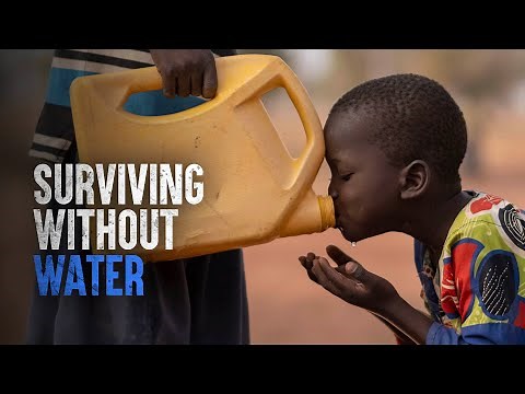 How to Survive Without a Water Supply