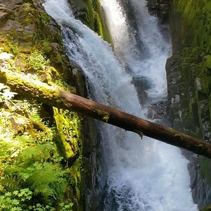 Sol Duc falls is an easy hike I just completed with my daughter and 3 year old grandson. If you bring in doritos take the bag out with u, unlike some tourists! Geez is so easy to do the right thing to save the planet. | Where in the World is Kate?