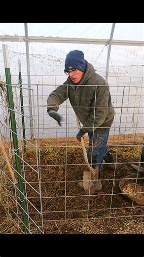 Typical Winter Chores on the Homestead #youtubeshorts #shorts #shortsfeed