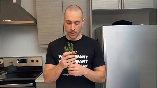 Cooking Salmon in the Dishwasher: You Won’t Believe How Good It Turns Out
