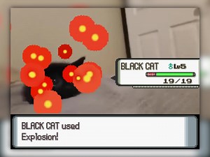 Black Cat Explosion in Pokemon - Nintendo Gaming Memes
