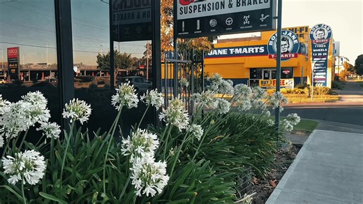 Exploring Officeworks: A Landscape Vlog Experience