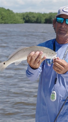 A day in the life of fishing with our Southwest Region Captain and @yamahaoutboards Pro Ron Hueston! This man knows how to catch big snook! | Florida Insider Fishing Report