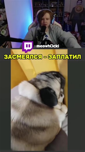 Humorous Moments with Meowh0cki on Twitch