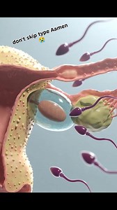 The First Knock of Life — From a Single Cell to a Universe This image captures one of the most extraordinary moments in existence—the exact point where life begins. Time seems to pause as a single sperm reaches the surface of the ovum, carrying within it the potential for an entire human story. Among millions competing in a silent, relentless race, only one reaches this destination. This is not just a biological event; it is the moment destiny takes form. The sperm shown in this image moves forw