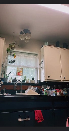 Belle of Burps: TikTok Live Compilation