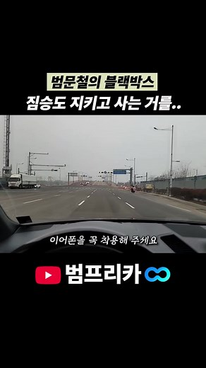 인천 범프리카에서의 교통 안전과 법규 위반