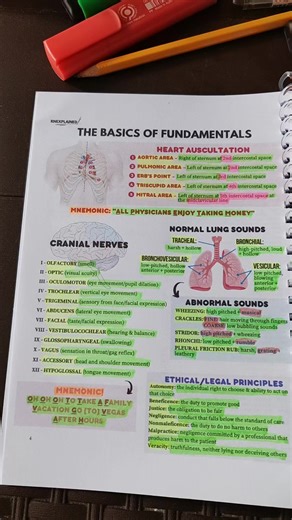 Understanding Cranial Nerves through Song