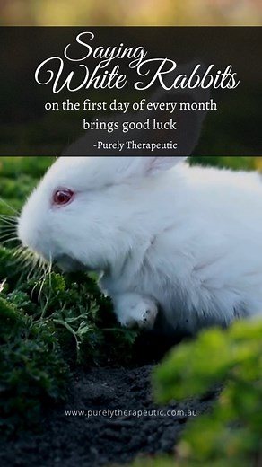 🌼🐇 Embracing the First Day of the Month with "White Rabbits" and the Spiritual Significance of Spring! 🌱✨ Hey there, lovely friends! As we step into a new month, let's remember the age-old tradition of saying "White Rabbits" for good luck at the beginning of each month! 🐰🍀 🐰 White Rabbits Tradition: Have you ever wondered why we say these two fluffy words on the first day of each month? It's believed that uttering "White Rabbits" as the first thing in the morning will bring you luck and po