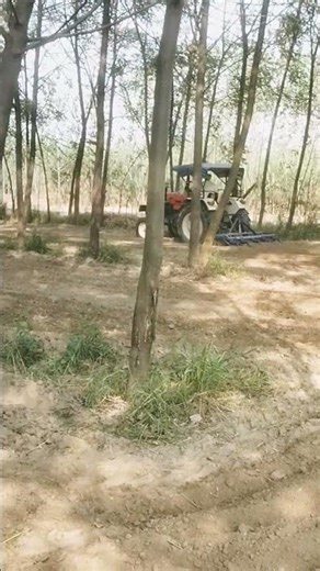 Tractor Stunts: The Most Punjabi Thing Ever #punjabifolkmusic #travel #automobile