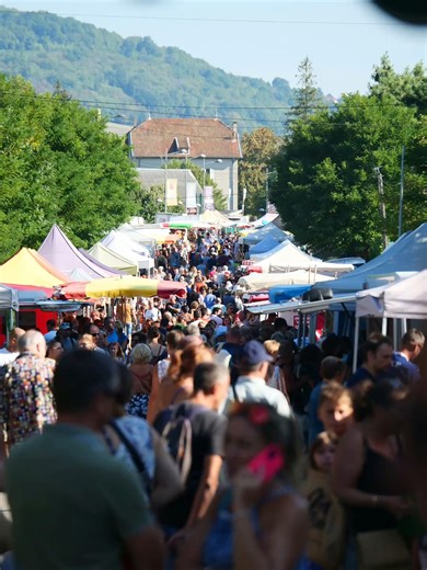 Syncio Marketplace: explained #ecommerce #shopify #shopifycollective