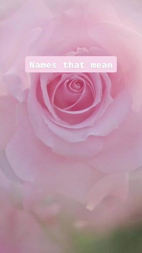 Pink #names #pink #writing #fyp