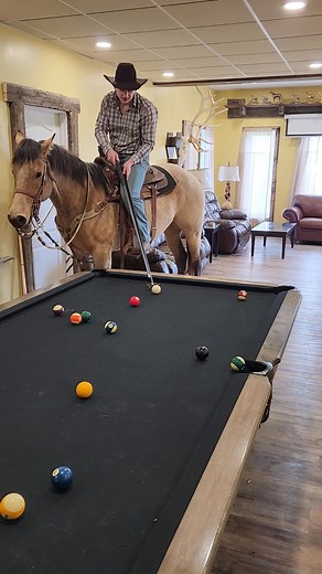 507K views · 7.8K reactions | Like and share !!!!!! Show this cowboy some  Chase has a new pool partner he's practicing with ! Doubles #horseriding #horses #pool #poolshots #cowboys | Matthew Warkentin | Facebook