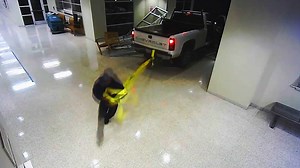 73K views · 1.4K reactions | Burglars break into the courthouse TWICE in an attempt to steal an ATM machine! | Court Cam | Facebook