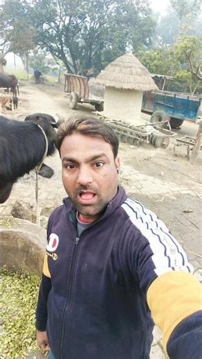 #comedy #song 🙏#love