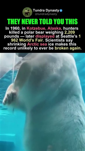 A RECORD THAT WON'T BREAK