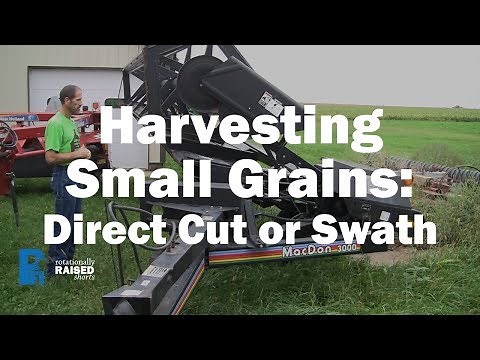 Harvesting Small Grains: Direct Cut or Swath?