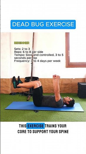 Your 5-minute Exercise: The Dead Bug