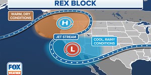 What is a Rex block?