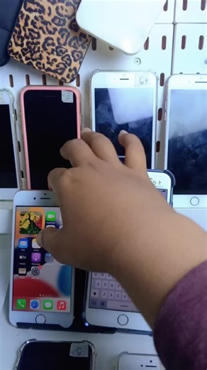 Student Gaming Senior: Essentials for Studio Backup