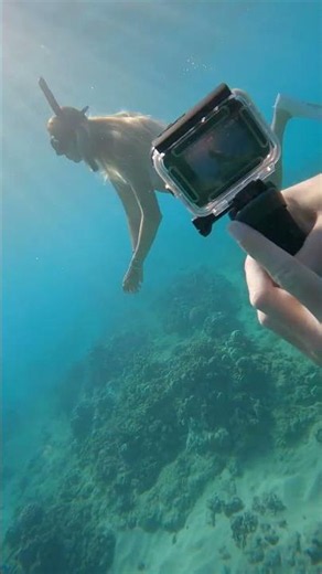 Behind the scenes: the cameraman very carefully films her
