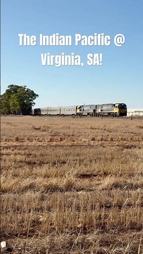 The Famous Indian Pacific Passenger Train @ Virginia, SA! #trains #railway #famous
