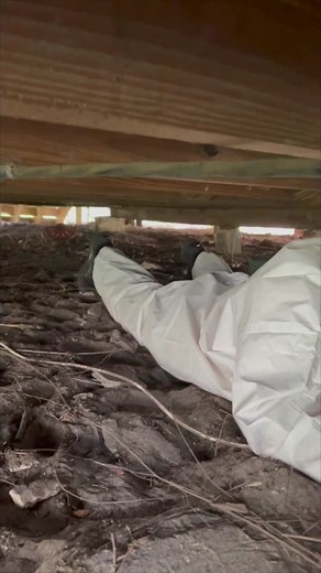 Installing support beams and steel jacks to reinforce this crawlspace #repair #support #crawlspacelife #constructionlife #fyp