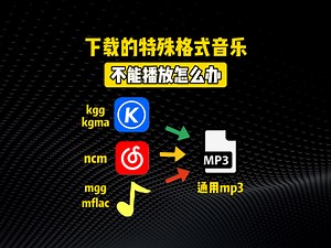 下载的特殊格式音乐不能播放怎么办？