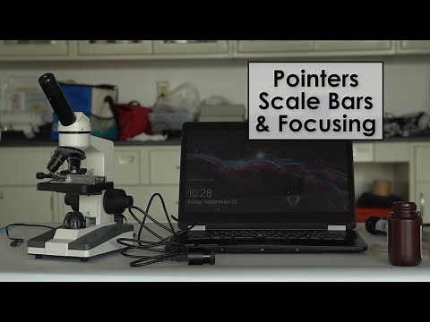 Using pointers, scale bars, and focusing on a microscope | cyanoScope