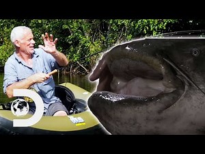 Jeremy Wade's Gigantic Monsters: LARGEST Crayfish In The World & More! | Jeremy Wade's Dark Waters