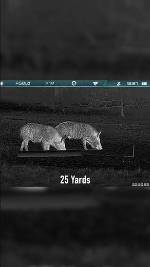Rix Leap L6 | Color Palettes and Reticles #rixleap6 #thermalscope #thermalhunting #nighthunting