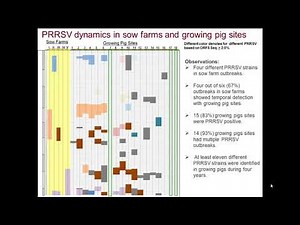 Dr. Angulo & Dr. Yeske - Understanding PRRSV Infection Dynamics in Growing Pigs