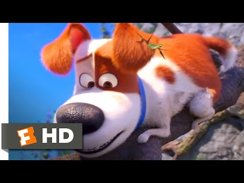 The Secret Life of Pets 2 - Max Saves Cotton | Fandango Family