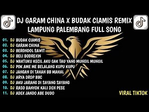 DJ GARAM CHINA X BUDAK CIAMIS REMIX LAMPUNG PALEMBANG FULL SONG VIRAL TIKTOK TERBARU 2025