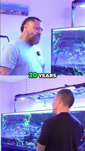 Blue Reef Haven's Incredible Coral Tanks