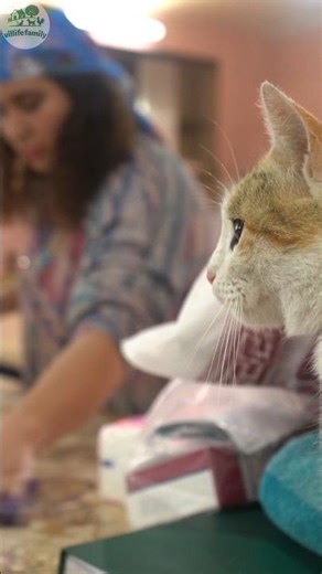 Peaceful Countryside Moments 🌿| You Need This Slow Living Escape