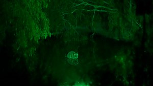 34K views · 274 reactions | Who else needs to go on Coon Patrol at their ranch? | Slow Glow Hunting Lights | Facebook