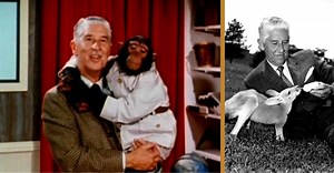 WATCH: Memorable Moments In 'Mutual Of Omaha's Wild Kingdom' With Marlin Perkins