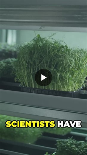 #cancerresearch #greenchemistry #mitraphylline #phytochemistry #drugdiscovery #naturalmedicine #biotechnology | geneXplain