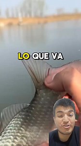 El anisakis es un nematodo que puede afectar a nuestros peces y a nosotros 😱 #fish #parasitos #aquarium | Ralfish Acuarismo