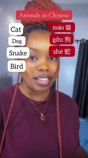 Learn Animal Names in Chinese 🇨🇳 | Easy Mandarin Lesson