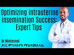 Optimizing the IUI Outcome: Everything You Need to Know About Intrauterine Insemination (IUI)