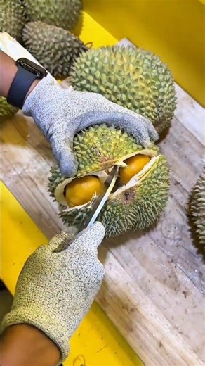 Opening a durian carefully with a knife to take out the ripe fruit flesh #shorts