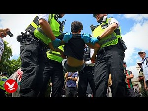 Moment police arrest protesters as hundreds rally in support of Palestine Action