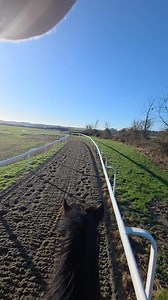 Have a canter and a bit of work on Boss. We led second canter then Freddie led third, bossy and I joined Freddie and Blu to work. Very pleased with them both. #jodavisracing #equissistant #racehorsetrainer | Jo Davis Racing