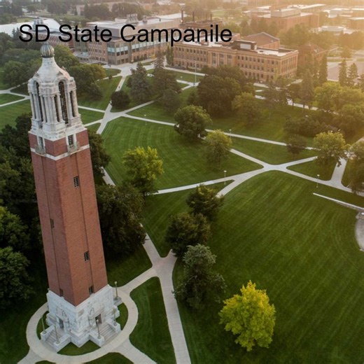 The Job Market Story | Jessica Meyers